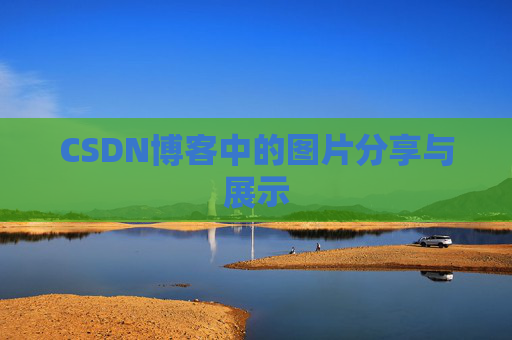 CSDN博客中的图片分享与展示
